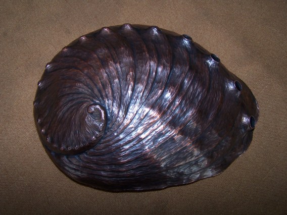 Abalone